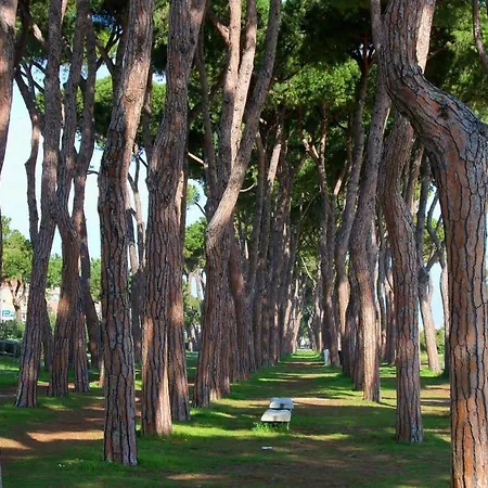 Residenza Il Corallo - Corallo Blu - アパート *