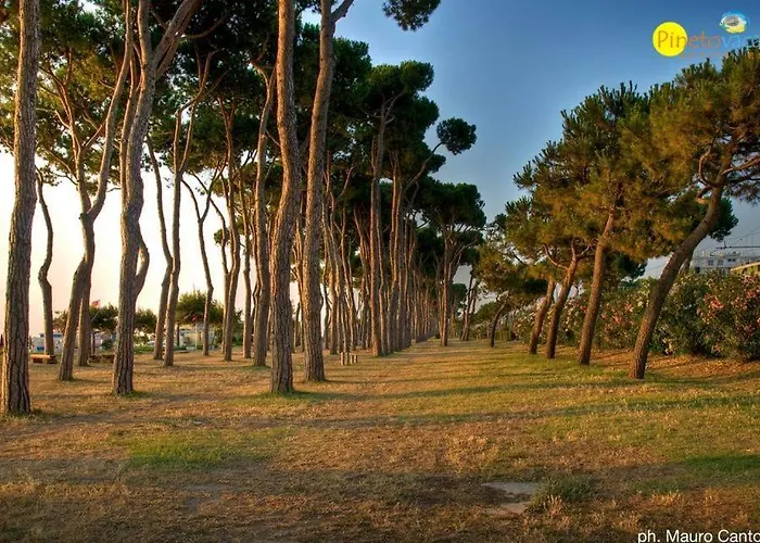 Апартаменты Residenza Il Corallo - Corallo Blu - Пинето