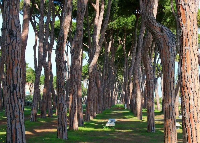 Residenza Il Corallo - Corallo Blu - Апартаменты *